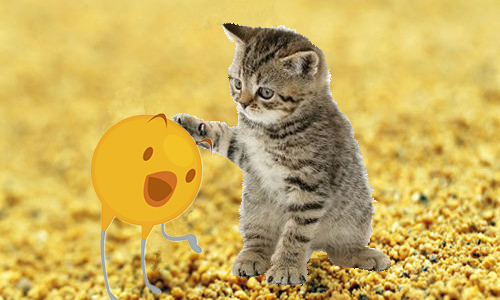Ҏ(gu)݌WЦ^.jpg